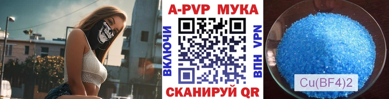 дарнет шоп  Будённовск  blacksprut ССЫЛКА  A PVP СК КРИС 