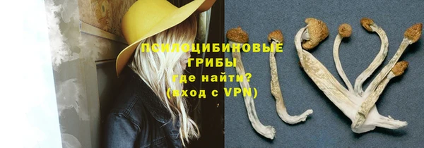 марки nbome Богданович
