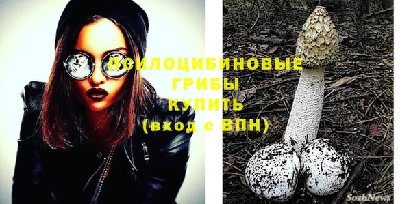 марки nbome Богданович