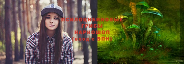 mix Богородск