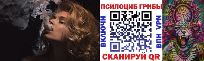 ОМГ ОМГ маркетплейс  цены наркотик  Будённовск  Псилоцибиновые грибы мухоморы 